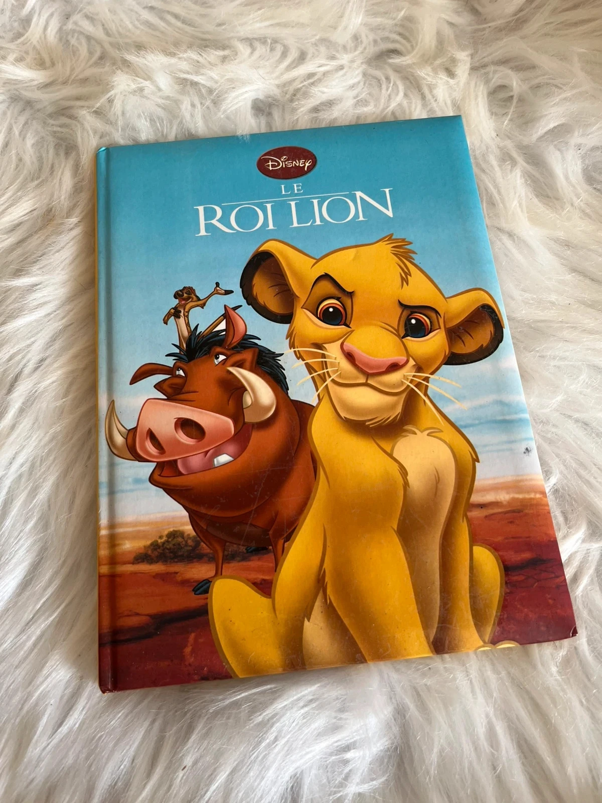 Livre Disney Le Roi Lion